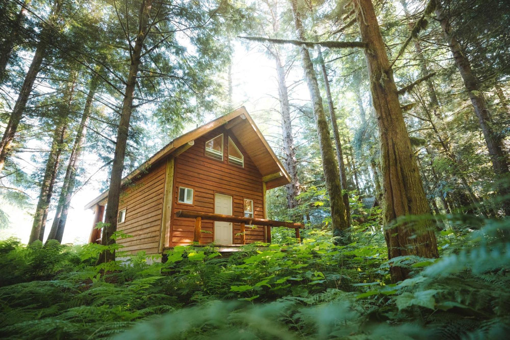 Bella Coola Grizzly Tours And Resort Hagensborg Esterno foto