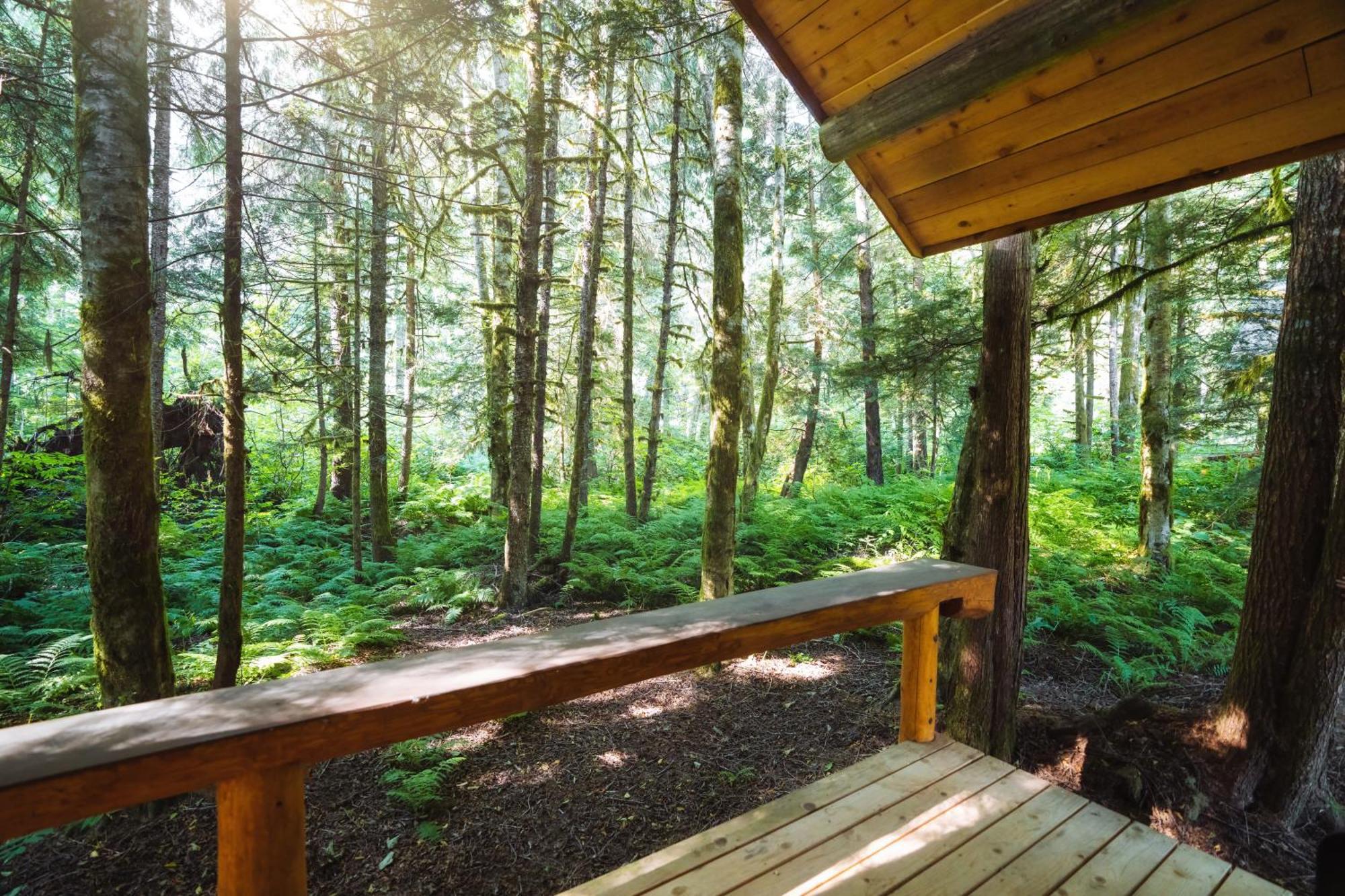 Bella Coola Grizzly Tours And Resort Hagensborg Esterno foto