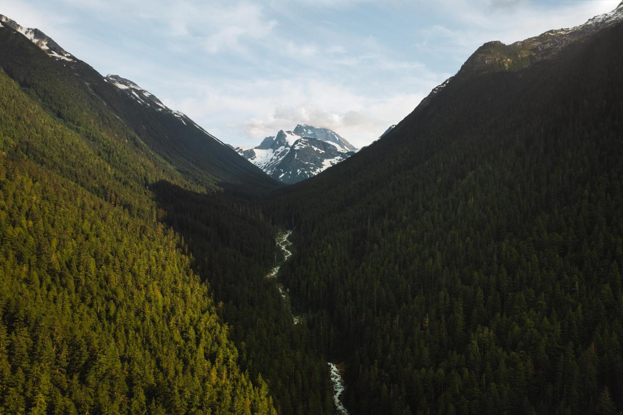 Bella Coola Grizzly Tours And Resort Hagensborg Esterno foto