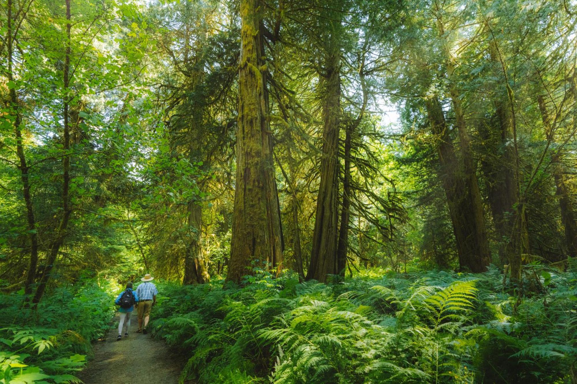 Bella Coola Grizzly Tours And Resort Hagensborg Esterno foto