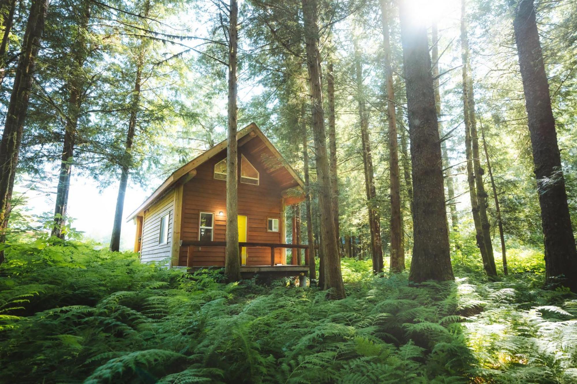 Bella Coola Grizzly Tours And Resort Hagensborg Esterno foto